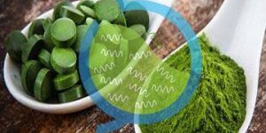 Spirulina Extract