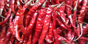 Dried Red Chilli