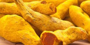 Turmeric Finger