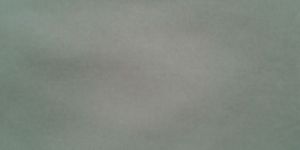 Cotton Sheeting Fabric