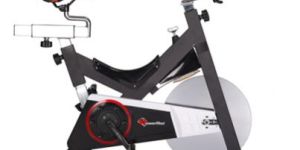 BS -2100C Commercial Group Bike