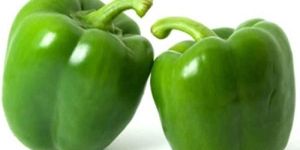 Green Capsicum