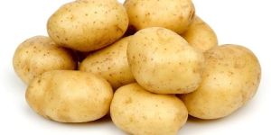 Potato
