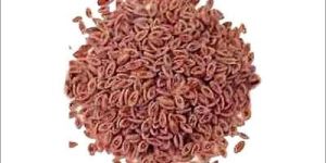 Psyllium Seeds