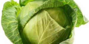 Fresh Cabbage