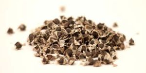 Moringa Seeds