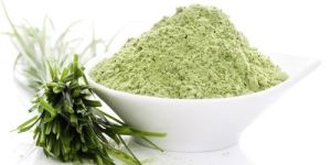 Wheatgrass Powder