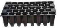 Seedling Trays