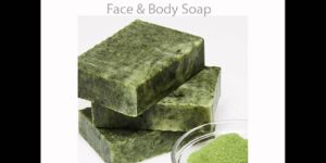 Moringa Soap