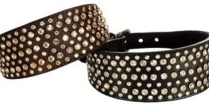Dog Collars