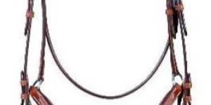 English Bridles