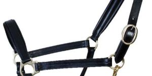 English Horse Halter