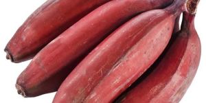 Fresh Red Banana