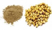 Dry Coriander Powder