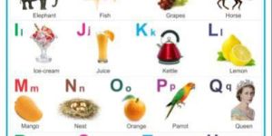 Kids Study Chart