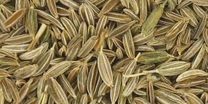 Cumin Seeds