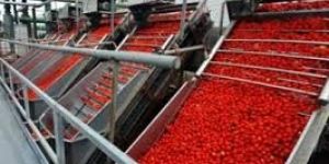 Fruit Processing Plant