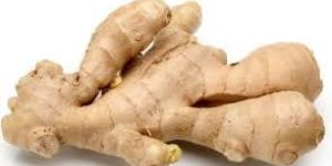 Dry Ginger