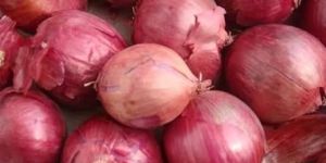 Fresh Red Onion