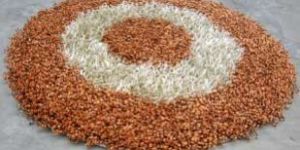 Shaggy Carpet (Round)