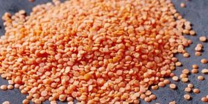 Red Lentil