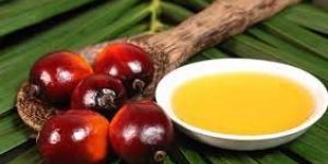 Palm Oil