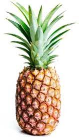Fresh Pineapple
