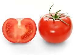 Fresh Tomato