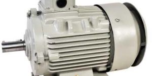 Agricultural Motor