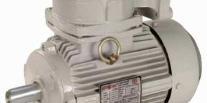 Explosion Proof Motor
