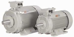 Inverter Duty Motor