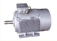 Squirrel Cage Motors