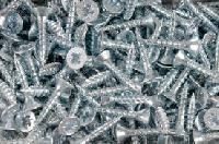 Iron Stainless Steel Screws