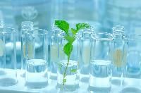 Natural Extracts