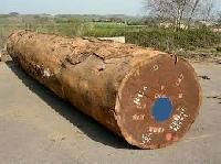 Hardwood Logs