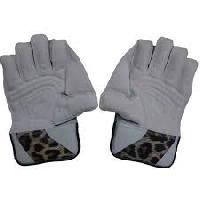 Wicket Keeping Gloves