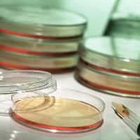 Biotechnology Products