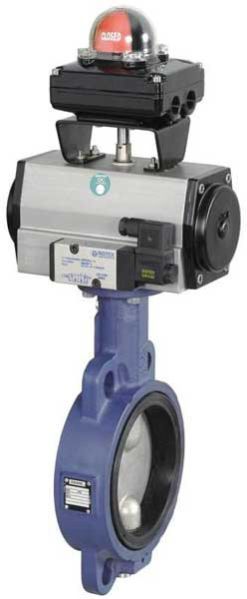 Pneumatic Butterfly Valve