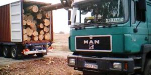 PW-007 Pine Wood Logs