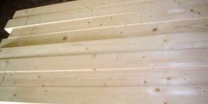 SW-007 Pine Spruce Wood