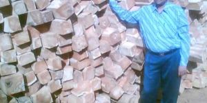 TW-005 Ghana Teak Wood Log