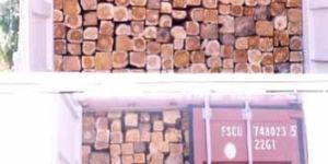 TW-006 Ghana Teak Wood Log