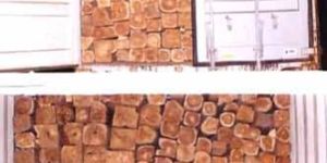TW-007 Ghana Teak Wood Log