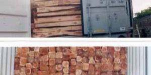 TW-008 Ghana Teak Wood Log