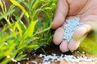 Chemical Fertilizers