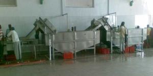 Fruit & Vegetable Washer