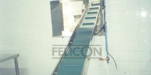 Inclined Cleated Conveyor