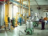 Edible Oil Refinery Plant