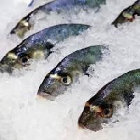 Chilled Fish