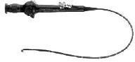 Endoscope